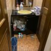 LINE_ALBUM_202364 レストラン文雅　トイレ改修_231117_1