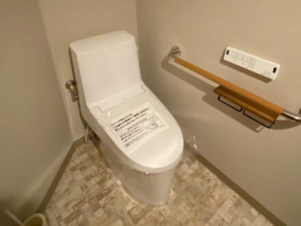 LINE_ALBUM_ラッキーリップス　トイレ交換_250422_8